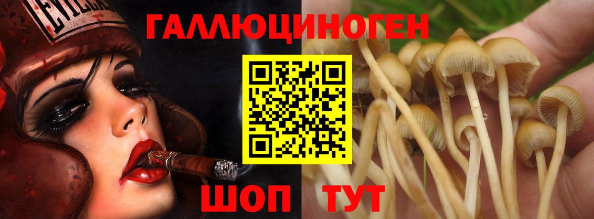 Галлюциногенные грибы прущие грибы  Вход с VPN  Усолье-Сибирское 